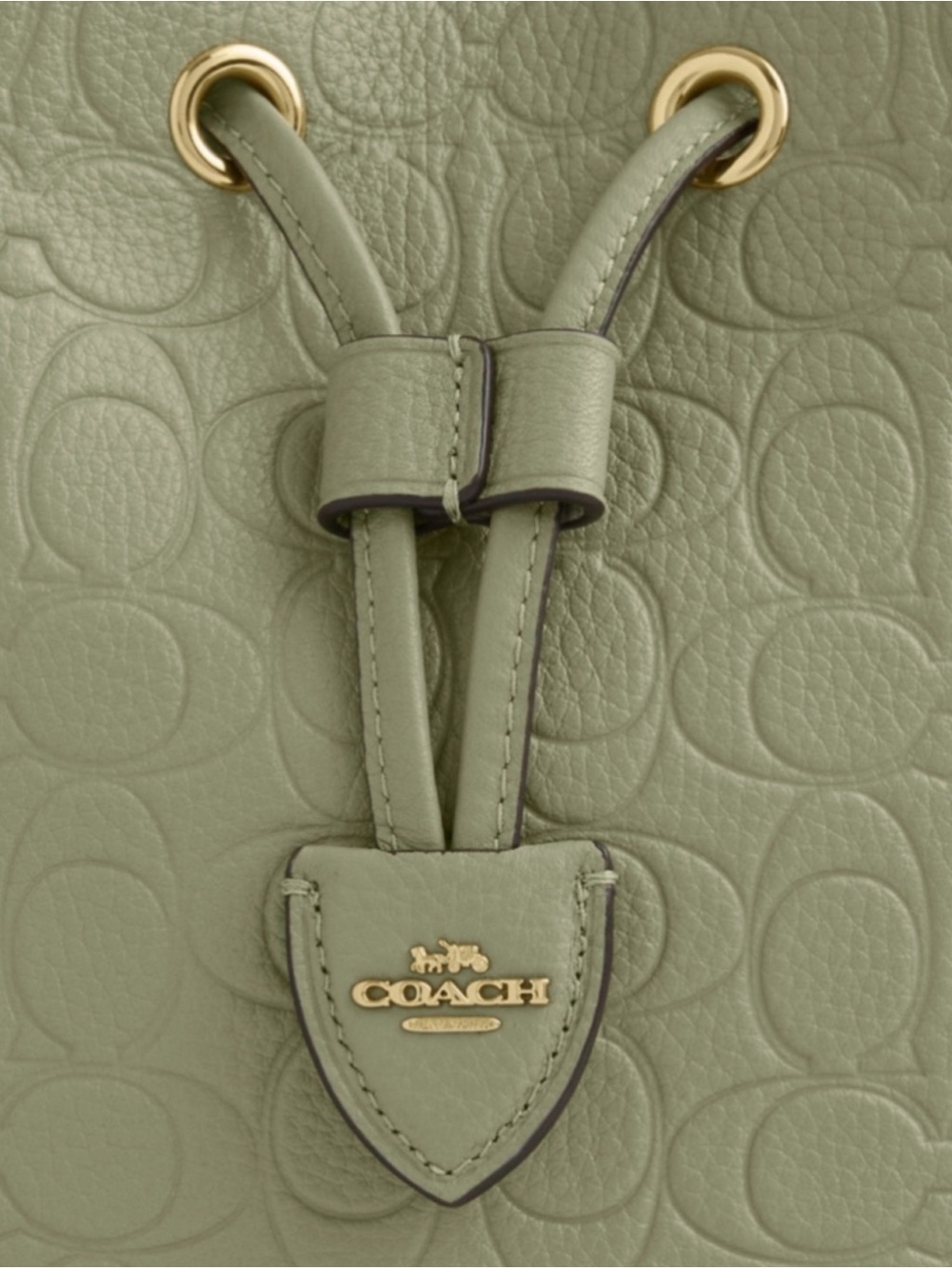Coach Sage Green Embossed Pebbled Leather Drawstring Bucket Bag with Pouch - Picture 3 of 12